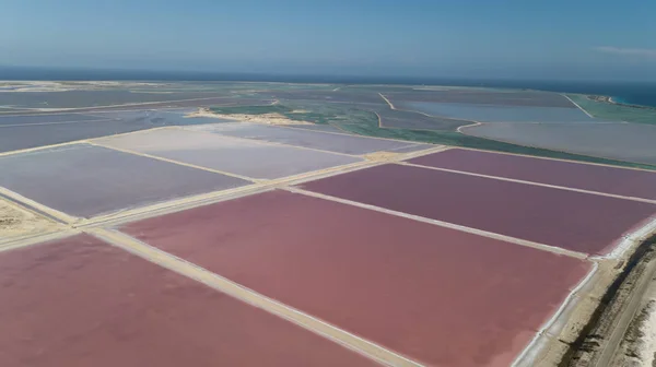 Розовое Карибское Солёное Озеро Бонайр — стоковое фото