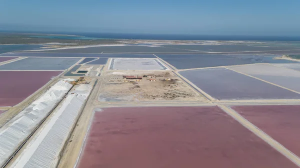 Růže Karibiku Solné Jezero Bonaire Ostrov Letecké Dron Pohled Shora — Stock fotografie