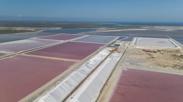 Růže Karibiku Solné Jezero Bonaire Ostrov Letecké Dron Pohled Shora — Stock fotografie