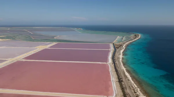 Rose Caraïbe Sel Lac Bonaire Île Aérienne Drone Vue Dessus — Photo