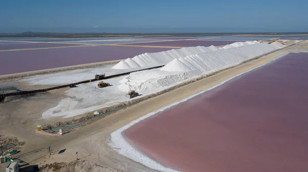 Gül Karayip Tuz Gölü Bonaire Island Hava Dron Üstten Görünüm — Stok fotoğraf