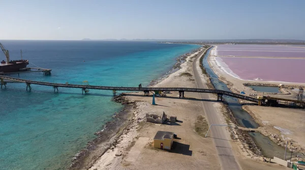 Τριαντάφυλλο Καραϊβικής Αλάτι Λίμνη Μπονέρ Εναέριο Κηφήνα Κορυφαία Θέα Στο — Φωτογραφία Αρχείου