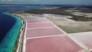 Karayip Tuz Gölü Bonaire Island Hava dron üstten görünüm 4 k Uhd video gül 