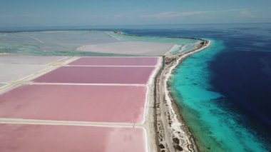 Karayip Tuz Gölü Bonaire Island Hava dron üstten görünüm 4 k Uhd video gül 