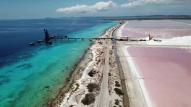 Karayip Tuz Gölü Bonaire Island Hava dron üstten görünüm 4 k Uhd video gül 