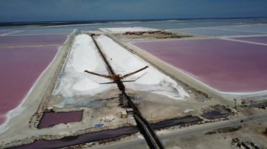 Karayip Tuz Gölü Bonaire Island Hava dron üstten görünüm 4 k Uhd video gül 