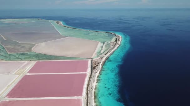 Rose Karibik Salz Lake Bonaire Island Antenne Drohne Draufsicht Uhd — Stockvideo