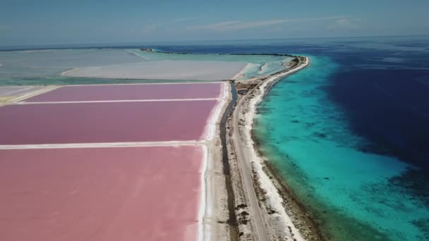 Rose Karibik Salz Lake Bonaire Island Antenne Drohne Draufsicht Uhd — Stockvideo