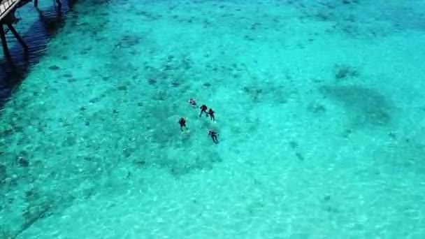 Porto Sale Caraibico Bonaire Isola Aerea Drone Vista Dall Alto — Video Stock