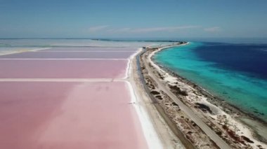 Karayip Tuz Gölü Bonaire Island Hava dron üstten görünüm 4 k Uhd video gül 