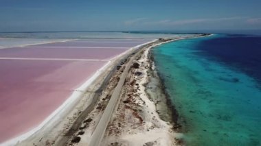 Karayip Tuz Gölü Bonaire Island Hava dron üstten görünüm 4 k Uhd video gül 