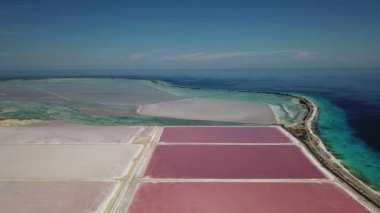 Karayip Tuz Gölü Bonaire Island Hava dron üstten görünüm 4 k Uhd video gül 