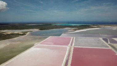Karayip Tuz Gölü Bonaire Island Hava dron üstten görünüm 4 k Uhd video gül 