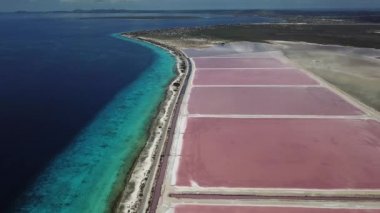 Karayip Tuz Gölü Bonaire Island Hava dron üstten görünüm 4 k Uhd video gül 