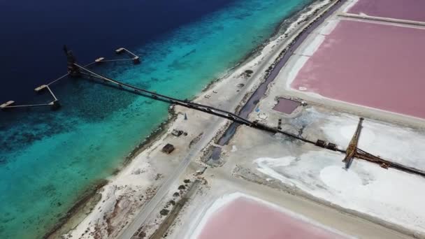 Rosa Caribe Sal Lago Bonaire Ilha Aérea Drone Vista Superior — Vídeo de Stock