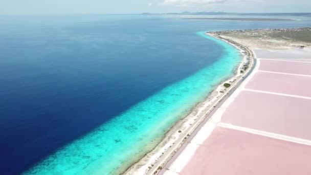 Rosa Caribe Sal Lago Bonaire Isla Aérea Drone Vista Superior — Vídeo de stock