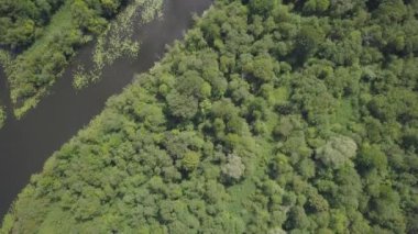 Gauja Nehri Letonya drenaj içine Baltık Denizi havadan dron üstten görünüm 4k Uhd video