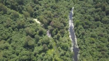 Gauja Nehri Letonya drenaj içine Baltık Denizi havadan dron üstten görünüm 4k Uhd video