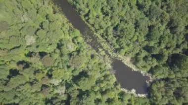 Gauja Nehri Letonya drenaj içine Baltık Denizi havadan dron üstten görünüm 4k Uhd video