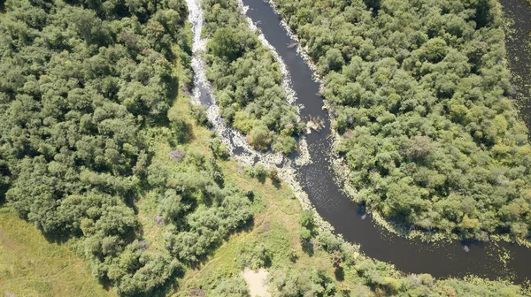 Река Гауя Латвия Впадает Балтийское Море Воздушный Беспилотник Вид Сверху — стоковое фото