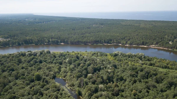 Gauja River Latvia Drain Baltic Sea Aerial Drone Top View — Stock Photo, Image