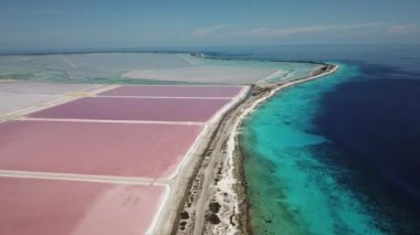 Karayip Tuz Gölü Bonaire Island Hava dron üstten görünüm 4 k Uhd video gül 