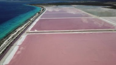 Karayip Tuz Gölü Bonaire Island Hava dron üstten görünüm 4 k Uhd video gül 