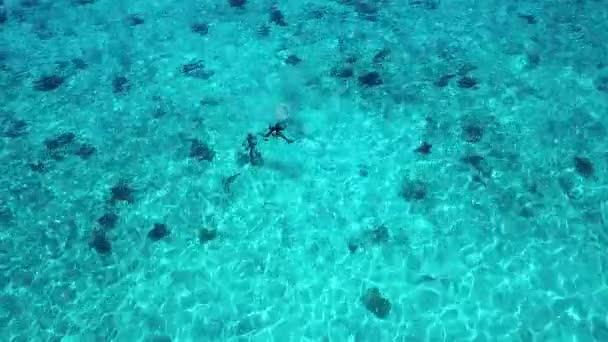 Caribbean Salt Harbor Bonaire Island Aerial Drone Top View Uhd — Stock Video