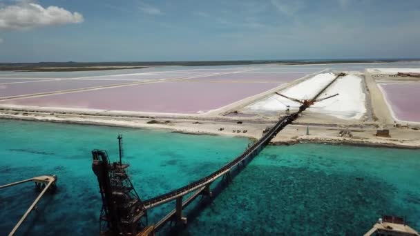 Ökade Karibiska Salt Lake Bonaire Antenn Drönare Ovanifrån Uhd Video — Stockvideo