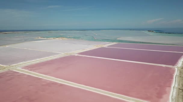 Rose Caribbean Salt Lake Bonaire Island Aerial Drone Top View — Stock Video