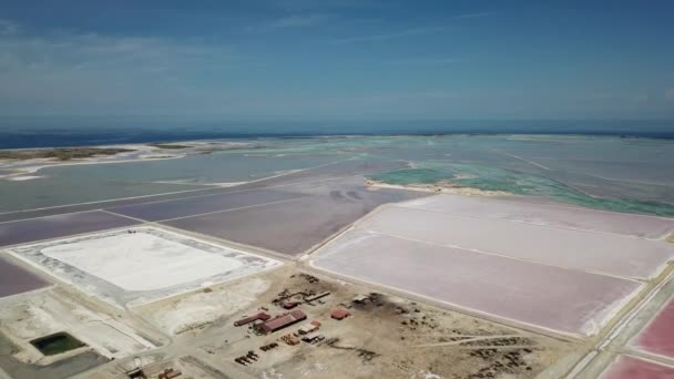 Rosa Caribe Sal Lago Bonaire Isla Aérea Drone Vista Superior — Vídeos de Stock