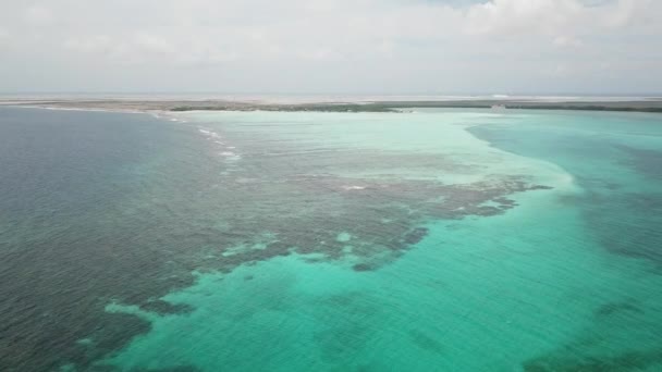 Zee Strand Kust Bonaire Eiland Caribische Zee Luchtfoto Drone Bovenaanzicht — Stockvideo