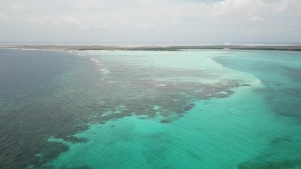 Deniz Plaj Sahil Bonaire Adası Karayip Denizi Havadan Dron Üstten — Stok video