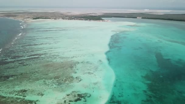 Moře Pláž Pobřeží Bonaire Ostrov Karibského Moře Letecké Dron Pohled — Stock video