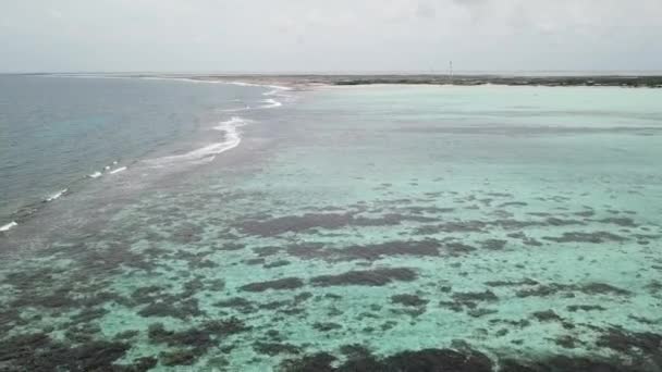Havet Stranden Kusten Bonaire Karibiska Havet Antenn Drönare Ovanifrån Uhd — Stockvideo