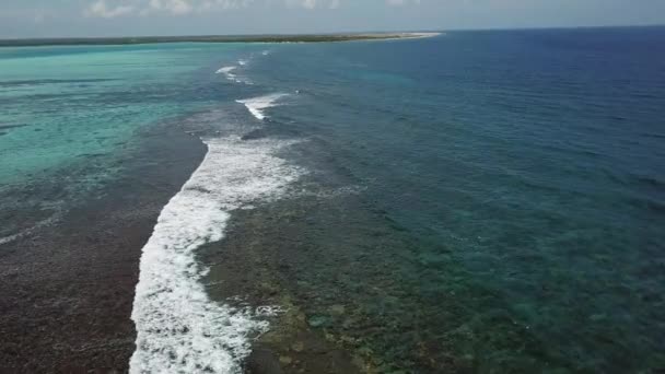 Deniz Plaj Sahil Bonaire Adası Karayip Denizi Havadan Dron Üstten — Stok video