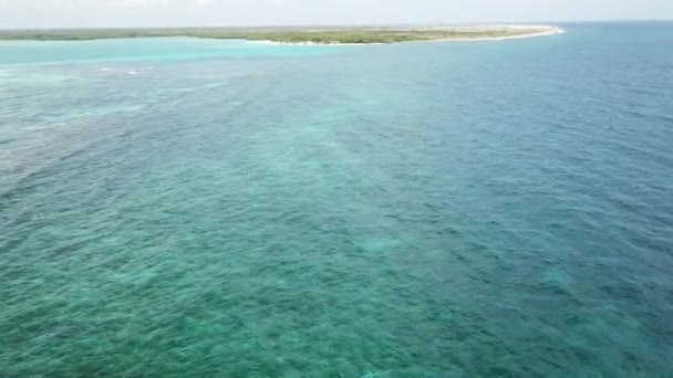 Mar Playa Costa Bonaire Isla Caribe Mar Aéreo Drone Vista — Vídeo de stock