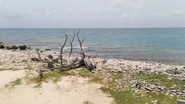 Mar Praia Costa Bonaire Ilha Caribe Mar Drone Aéreo Vista — Fotografia de Stock