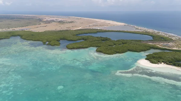 Sea Beach Coast Bonaire Island Caribbean Sea Aerial Drone Top — Stock Photo, Image