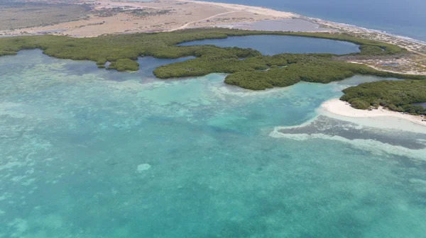 Mar Playa Costa Bonaire Isla Mar Caribe Avión Tripulado Vista — Foto de Stock