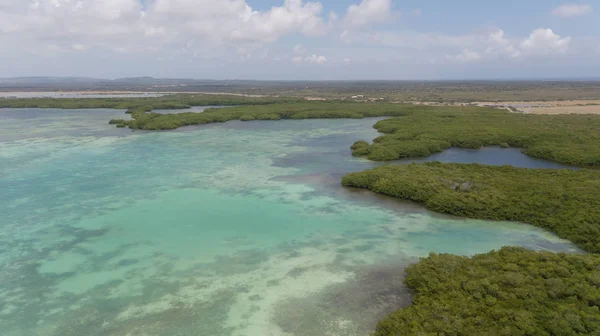 Meer Strand Küste Bonaire Insel Karibik Meer Antenne Drohne Draufsicht — Stockfoto