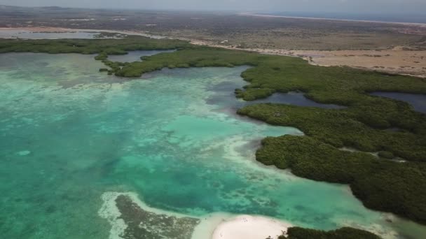 Mar Playa Costa Bonaire Isla Caribe Mar Aéreo Drone Vista — Vídeo de stock