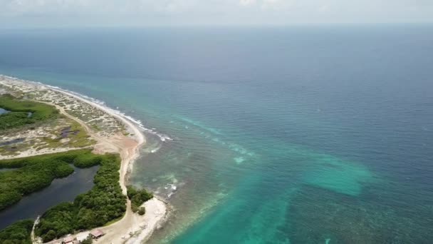 海滨海岸博内尔岛加勒比海空中无人机俯视图 Uhd — 图库视频影像