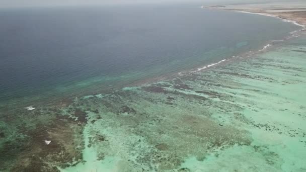 Havet Stranden Kusten Bonaire Karibiska Havet Antenn Drönare Ovanifrån Uhd — Stockvideo