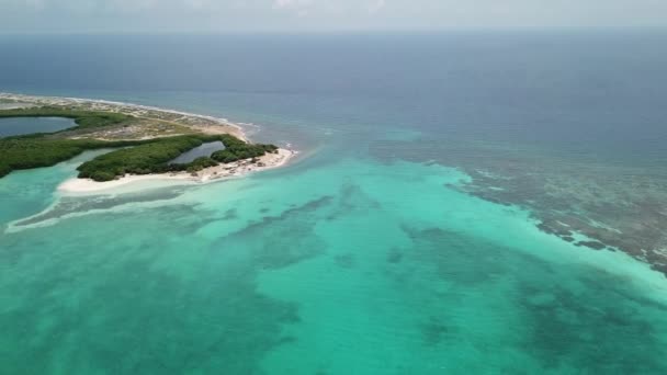 Deniz Plaj Sahil Bonaire Adası Karayip Denizi Havadan Dron Üstten — Stok video