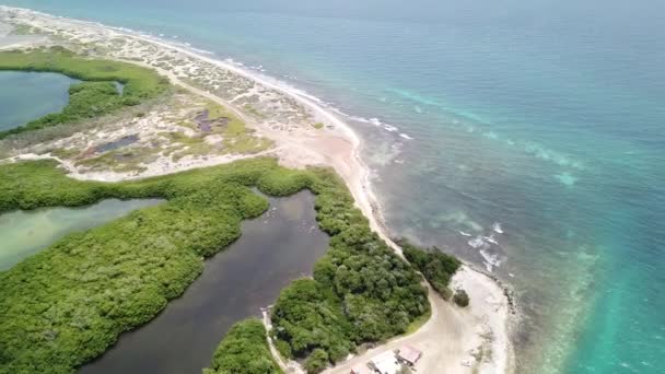 Sea Beach Coast Bonaire Island Caribbean Sea Aerial Drone Top — Stock Video