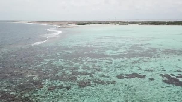 Deniz Plaj Sahil Bonaire Adası Karayip Denizi Havadan Dron Üstten — Stok video