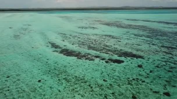 Zee Strand Kust Bonaire Eiland Caribische Zee Luchtfoto Drone Bovenaanzicht — Stockvideo
