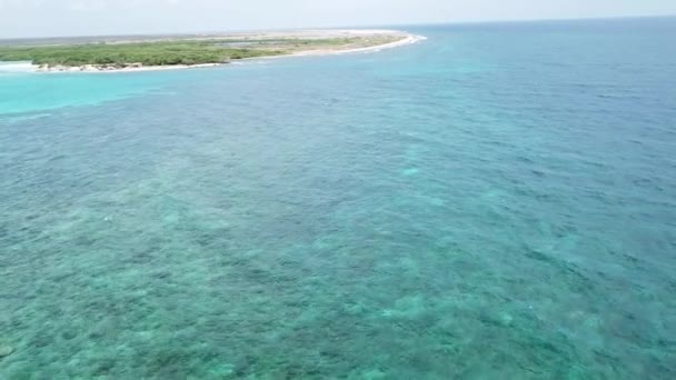 Mar Playa Costa Bonaire Isla Caribe Mar Aéreo Drone Vista — Vídeos de Stock