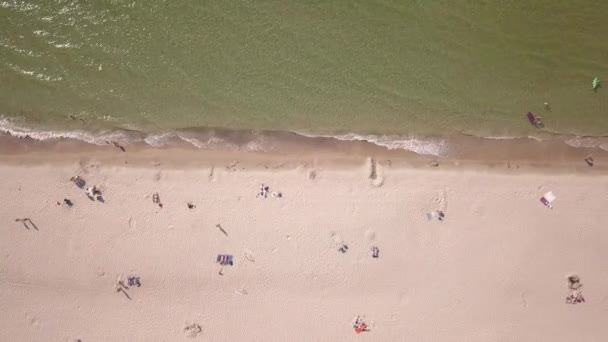 バルト海海岸ベンツピルス クルゼメ空中ドローン平面図 Uhd ビデオ — ストック動画